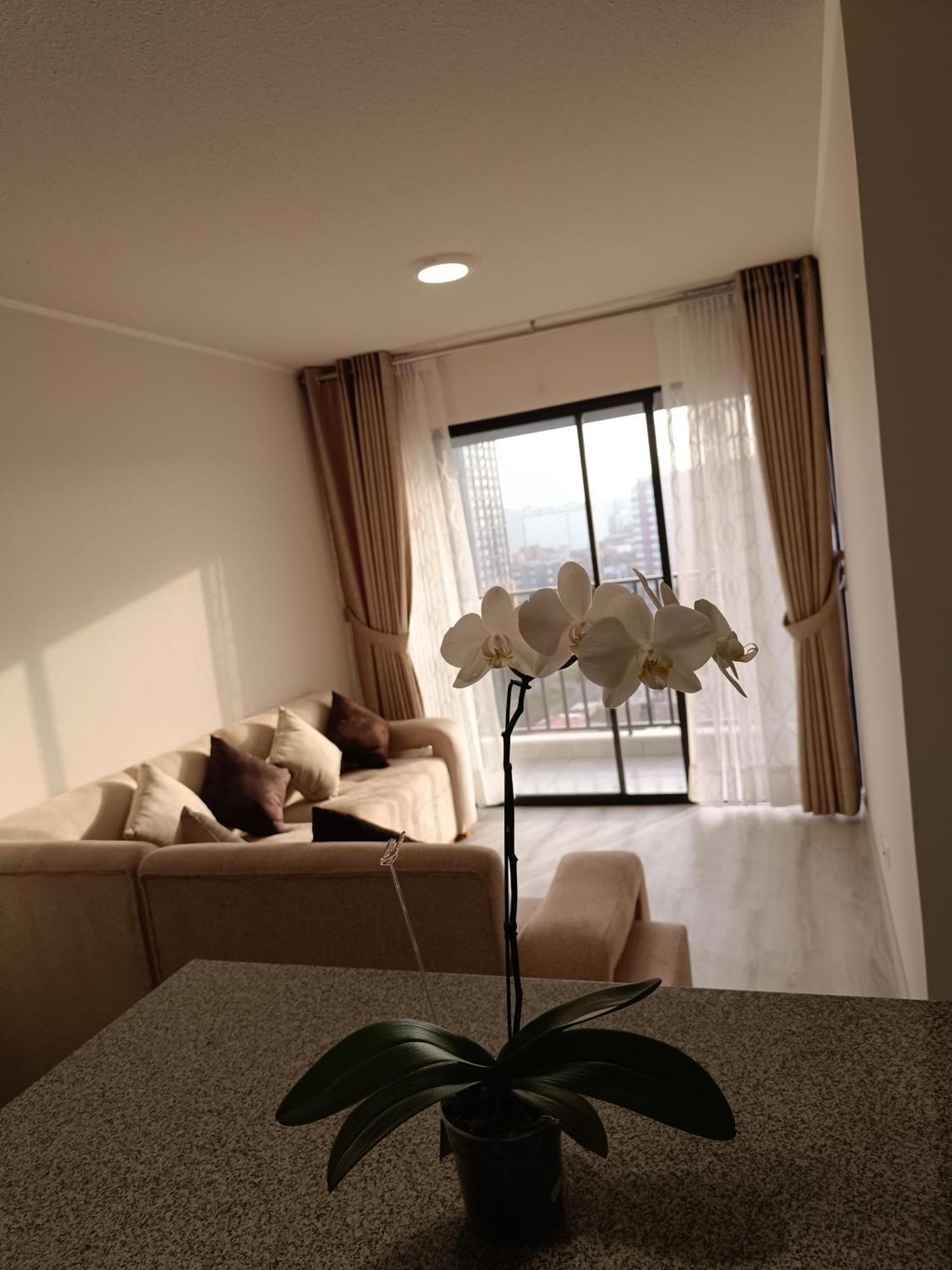 Aparthotel Acogedora En Departamento Lima
